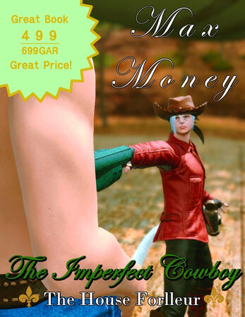 The Imperfect Cowboy